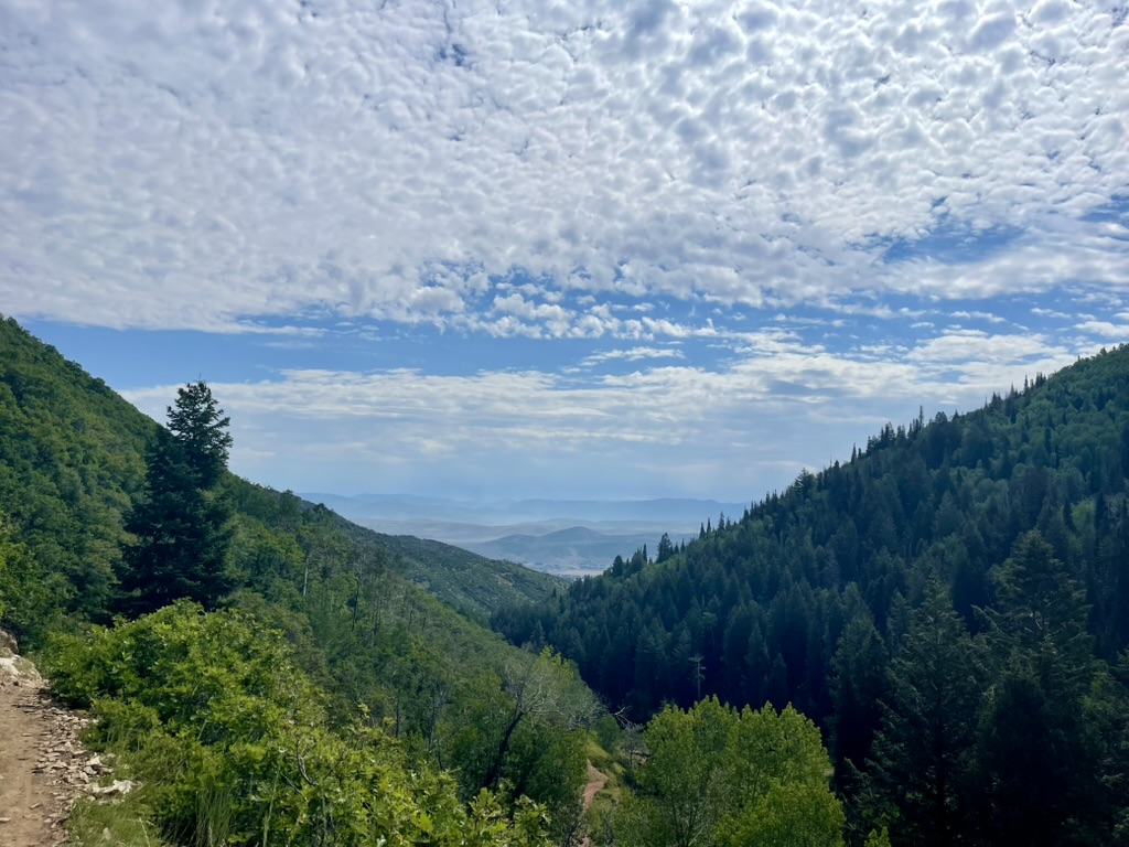 A view down a forested mountain valley near Park City, Utah.